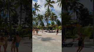 🇩🇴 Barcelo Bavaro Palace Punta Cana Dominican Rep 🌴shorts short shortvideo shortsvideo bvaro [upl. by Romina154]