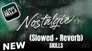 LVDM  NOSTALGIE Slowed  Reverb RAJA SKILLS [upl. by Dannon323]