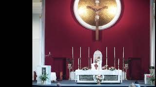 1200 Noon Mass Thur 24 Oct 2024 Votive of Our Lord Jesus Christ High Priest [upl. by Pritchard]