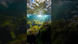 Under water clear view beautiful ❤️💧 [upl. by Wadell]