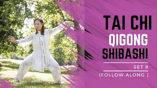 Tai Chi Qigong Shibashi Set 8 Follow along  Mirrored version with breathing timing [upl. by Alekram775]