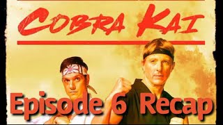 Cobra Kai Season 1 Episode 6 Quiver Recap [upl. by Hgielah868]