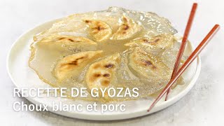 Recette de gyozas maison choux blanc et porc [upl. by Philippa193]