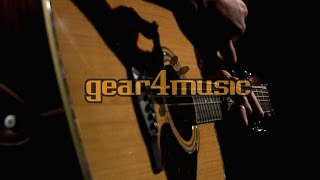 Greg Bennett D8 Acoustic Guitar Performance [upl. by Sasnak]