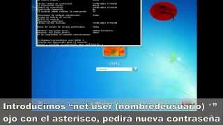 Quitar contraseña ADMINISTRADOR en Windows 7 y Windows 8 [upl. by Anitnoc52]