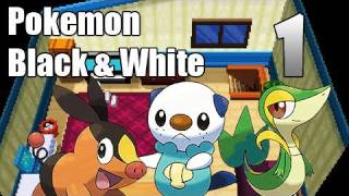 Pokémon Black amp White  Episode 1  A New Beginning [upl. by Aicak]