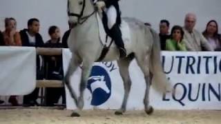 Magnifique reprise de dressage à Equita Lyon [upl. by Goober]