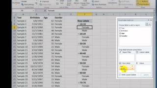 Use an Excel Pivot Table to Group Data by Age Bracket [upl. by Akinohs]