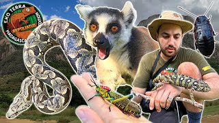 FINDING MADAGASCAR BOAS AND HISSING COCKROACHES IN LEMUR FOREST  MADAGASCAR EXPEDITION EPISODE 6 [upl. by Haridan]