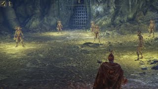 Elden Ring SOTE Dex run part 15 Lamenters Lot [upl. by Boj]