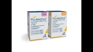 Felimazole [upl. by Eedia284]