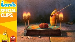 Official LARVA Weekly Best  Funny Animation Compilation  Week 4 NOV 2016 [upl. by Chelsae]