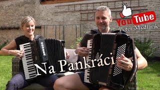 Na Pankráci  Duet  Akordeon 🇨🇿 🇸🇰 [upl. by Aber923]