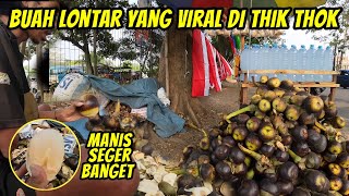 SKILL DEWA KUPAS BUAH LONTAR YANG JARANG KITA TEMUKAN [upl. by Kokaras596]