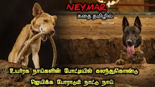 வாழ்கையில் Miss பண்ண கூடாத படம் TVOTamil Voice OverTamil Movies ExplanationTamil Dubbed Movies [upl. by Ettedualc]