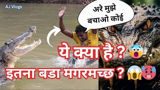 इतना बड़ा मगरमच्छ 😱   Crocodile Hunter  Biggest Crocodile in the World shorts ytshorts yt [upl. by Boot7]