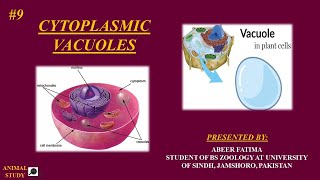 cell biology  Lecture 9 Vacuoles structure and functions  animal and plant vacuoles [upl. by Ayerf]