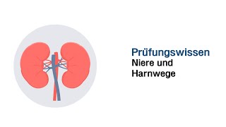 Mündliche Prüfungsfragen  Niere und Harnwege [upl. by Trammel]