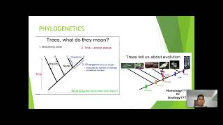 Final Exam Review Video BIOL 1010 [upl. by Gilli]