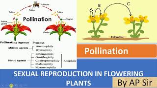 Pollination and its type [upl. by Lura]