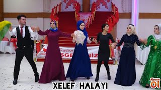 XELEF  SİİRT DÜĞÜNLERİ HARİKA HALAY DÜĞÜN HALAY MÜZÜKLERİ [upl. by Aleuqahs]