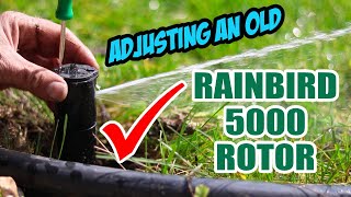 Rainbird 5000 Sprinkler Adjustment [upl. by Gildus]