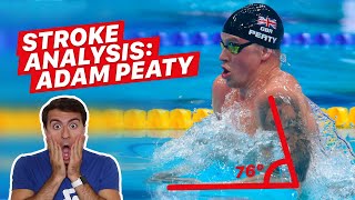 Perfect Breaststroke Adam Peaty Breaststroke Analysis [upl. by Icken]