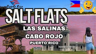 “Salitral” at Salt Flats Las Salinas Cabo Rojo Puerto Rico [upl. by Eeleimaj]