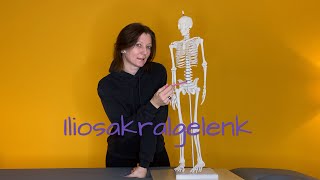 Das Iliosakralgelenk ISG  osteopathisch erklärt [upl. by Nsaj]