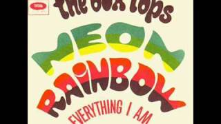 The Box Tops  Neon Rainbow [upl. by Aluk]