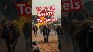 Flaming Camels The Craziest War Tactic in History 🐪🔥 [upl. by Adabel174]