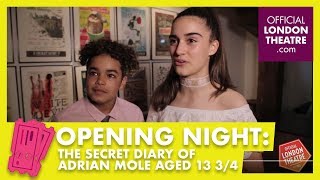 Opening night The Secret Diary Of Adrian Mole Aged 13 34 The Musical [upl. by Anrehs]