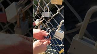 Love Lock Ergo Comb Fun ghostwolf0742 Bethlehem PA lockpicking covertinstruments lovelocks [upl. by Jinny84]