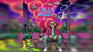 Collie Buddz  Own Business Official Audio [upl. by Laram201]