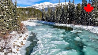 【Banff 2023】🇨🇦 1 Minute Pipestone River [upl. by Rumney707]