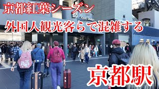 2024年11月21日（木） 【京都の紅葉シーズン】 外国人観光客が行き交う京都駅を歩く Walking around Kyoto Station 【4K】 [upl. by Elmer792]