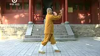 少林迷踪拳Shaolin Mizong Quan [upl. by Sseb]