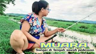 SUNGAI MUARAquotmancing ikan di sungai sawah kampung pedesaan pemandangan ya indah [upl. by Converse]