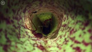 crab spider steals from pitcher plant [upl. by Ettelrats]