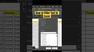 MS Excel  How to Filter Text in Excel Need 2 Know excel [upl. by Berthe976]