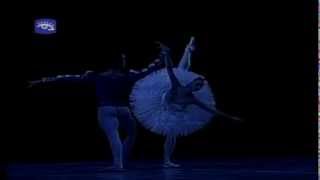 White Swan PDD  Ekaterina Borchenko amp Elier Bourzac [upl. by Linoel499]