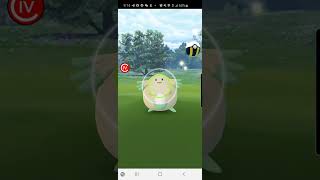 Pokémon GO 2020 Catching Shiny Chansey [upl. by Ycul661]