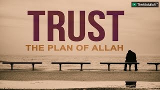 Trust The Plan Of ALLAH  Emotional Reminder [upl. by Enomad788]