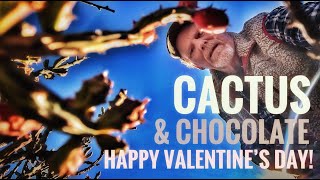 Cactus amp Chocolate Happy Valentines Day [upl. by Hugo]