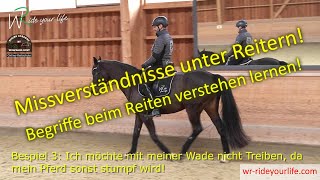 F155 Die Fachsprache deines Reitlehrers verstehen und beim Reiten am Pferd umsetzen lernen [upl. by Leler]