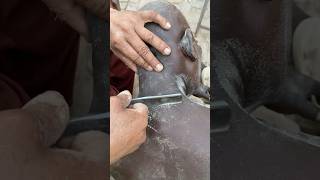 Razor blades head shaved asmr sounds [upl. by Cynar]