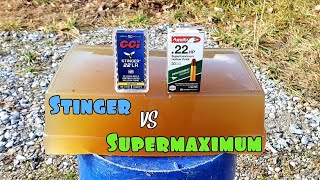 CCI Stinger vs Aguila Super Maximum 22LR Ballistic Gel Test [upl. by Bauer]