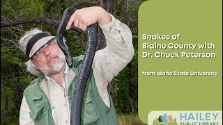 Snakes of Blaine County with Dr Chuck Peterson [upl. by Euqinomahs]