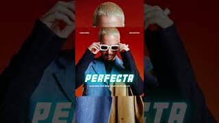 FREE Type Beat  J Balvin x Feid quotLA VUELTAquot Reggaetón  J Beasters 🐋🎹 [upl. by Atekahs646]