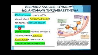 BERNARD SOULIER SYNDROME VS GLANZMANN THROMBASTHENIAkey features📚mcqs✏️vimpt topic theorypbqs [upl. by Aryc354]